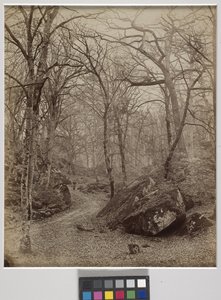 Fontainebleau, c.1870 (albüm baskısı) by Charles Victor Famin