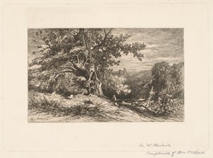 Düşmüş Ağaç ile Manzara by Charles Volkmar