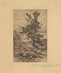 Koyunlu Manzara by Charles Volkmar