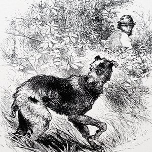 Onun lurcher ile bir kaçak avcı by Charles Whymper
