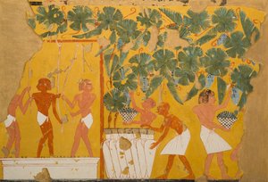 Şarapçılık, Ipuy Mezarı (kağıt üzerinde tempera)