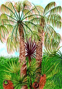 Barcelona Palms, 2017 (fırçalı kalemler) by Charlotte Orr