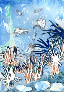 Mercan Resifleri, 2021 by Charlotte Orr