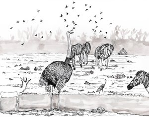 Safari 2, 2018 (mürekkep ve sulu boya) by Charlotte Orr