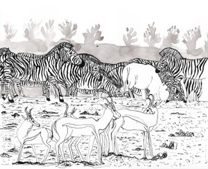 Safari 3, 2018 (mürekkep ve sulu boya) by Charlotte Orr