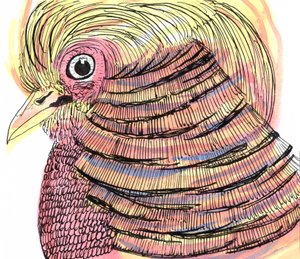 Tropical Bird, 2018 (kalem, mürekkep ve sulu boya) by Charlotte Orr