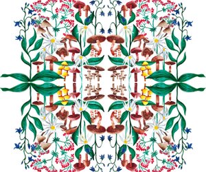 Yabani Bitkiler, 2015 akrilik by Charlotte Orr