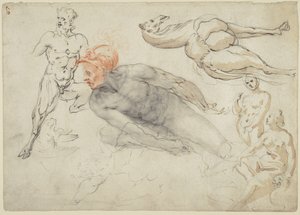  by Cherubino Alberti