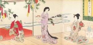 Chiyoda Castle Kadınlar Albümü, 1895., 1895.