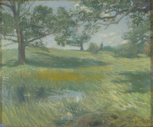 Meadows, c.1900-10 (tuval üzerine pastel) by Childe Frederick Hassam