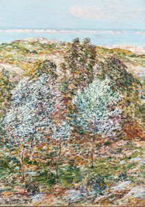 İlkbahar Vizyonu by Childe Frederick Hassam