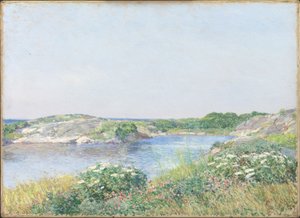 Küçük Gölet, Appledore