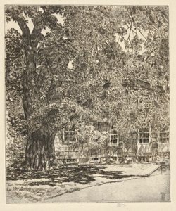 Dev Karaağaç, 1929 by Childe Hassam
