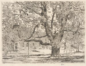 Büyük At Kestanesi Ağacı, Easthampton by Childe Hassam
