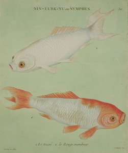Le Nacre, Le Rougi Üyeleri, Francois Nicholas Martinet (1731-p.1796) (baskı) tarafından oyulmuş by Chinese School