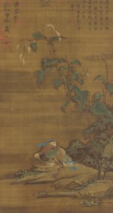 Mandarin ördekleri akıllı ot, Ming veya Qing hanedanı, 15.-18. yüzyıl