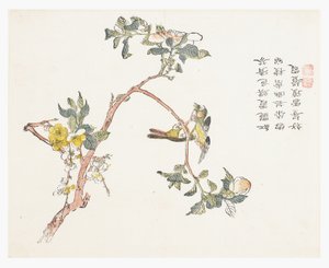 Hardal Tohumu Bahçesi by Chinese School