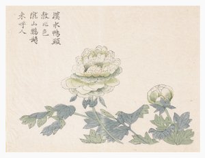 Hardal Tohumu Bahçesi by Chinese School