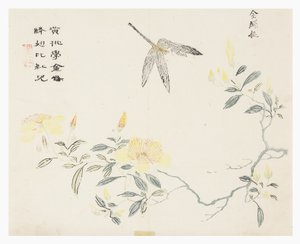 Hardal Tohumu Bahçesi by Chinese School