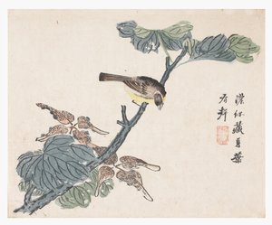 Hardal Tohumu Bahçesi by Chinese School
