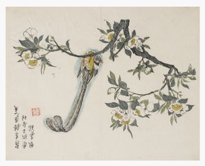 Hardal Tohumu Bahçesi by Chinese School