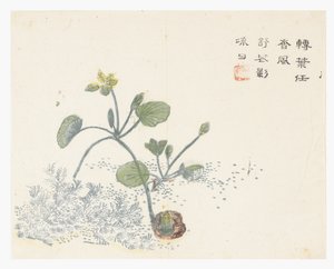 Hardal Tohumu Bahçesi by Chinese School