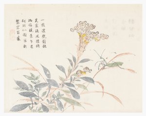 Hardal Tohumu Bahçesi by Chinese School