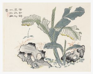 Hardal Tohumu Bahçesi by Chinese School