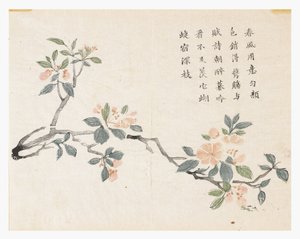 Hardal Tohumu Bahçesi by Chinese School