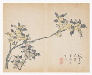 Hardal Tohumu Bahçesi by Chinese School