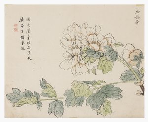 Hardal Tohumu Bahçesi by Chinese School