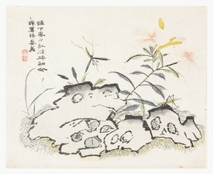Hardal Tohumu Bahçesi by Chinese School
