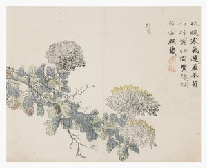 Hardal Tohumu Bahçesi by Chinese School
