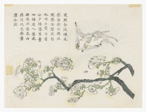 Hardal Tohumu Bahçesi by Chinese School