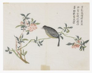 Hardal Tohumu Bahçesi by Chinese School