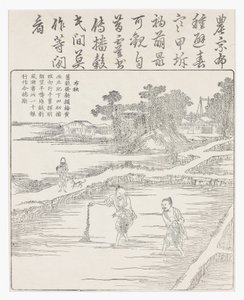 Bir tohum yatağında pirinç ekimi., 18. yüzyıl by Chinese School