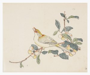 On Bambu Serisi, 18. yüzyıl by Chinese School