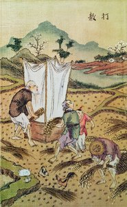 Pirinç Hikayesi by Chinese School