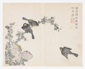 Hardal Tohumu Bahçesi by Ching yu Chiu