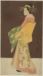 P easure kuar rs (seirobisen kombinasyonu): F tetamayain P rossion figüründen Hanamurasaki) by Chobunsai Eishi
