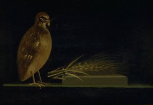 Mısır Başağı Yiyen Bıldırcın by Christen Købke