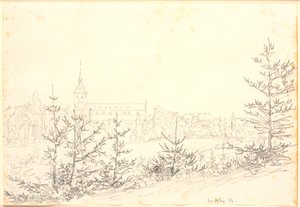 Bataklıktan görülen Odense