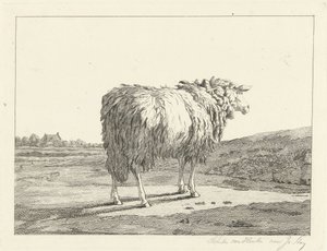 Bir manzara koyun by Christiaan Godfried Schutze van Houten
