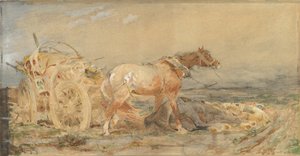 Terkedilmiş: Tuna Bataklıkları, 1887