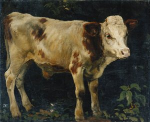 Boğa Buzağı, 1876