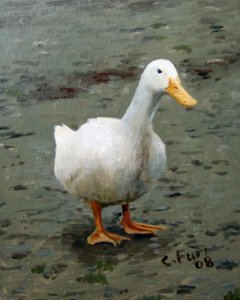  by Christian Furr