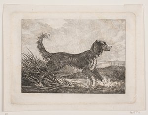 Bir köpek by Christian Holm