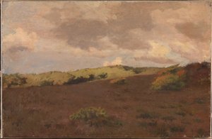 Heath manzara. Düşmek by Christian Mourier Petersen