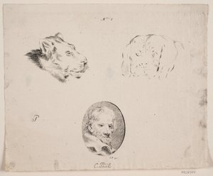 Erkek başlı, aslan başlı vs. örnek levha. by Christian Piil