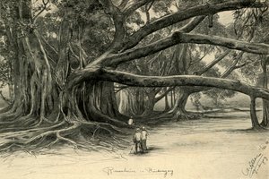 Buitenzorg